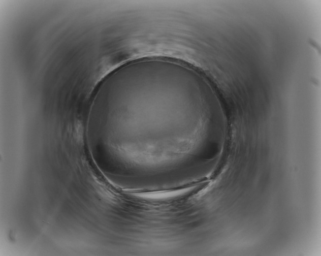 X0000099231505200804241442
