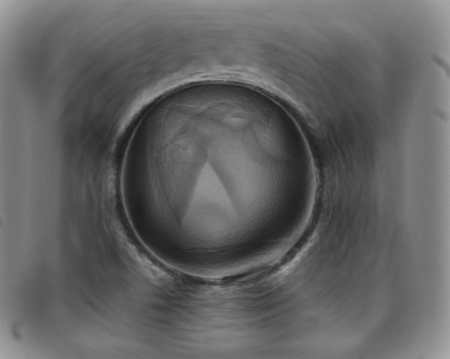 X0000099231506200804241442