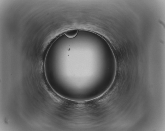 X0000099231507200804241442