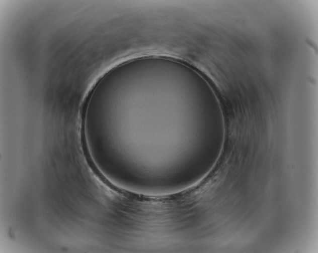 X0000099231508200804241442