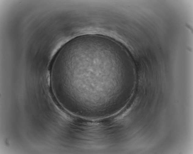 X0000099231509200804241442