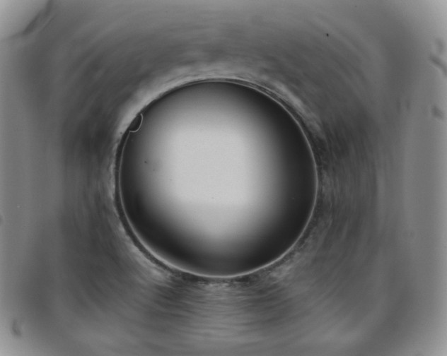 X0000099231512200804241442