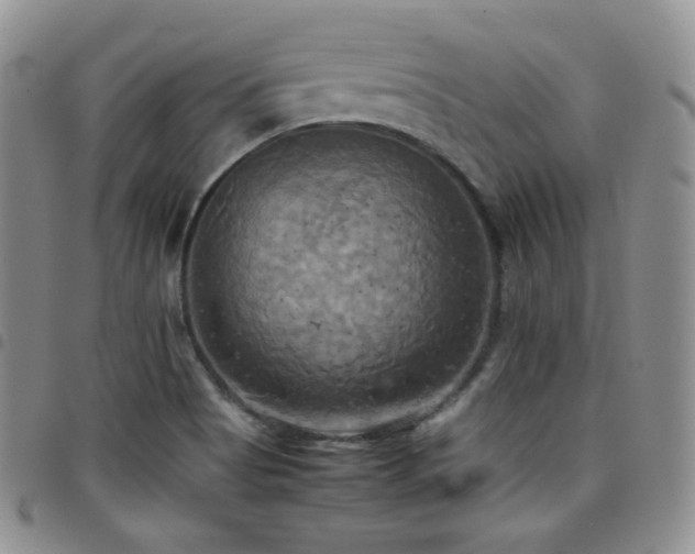 X0000099231513200804241442