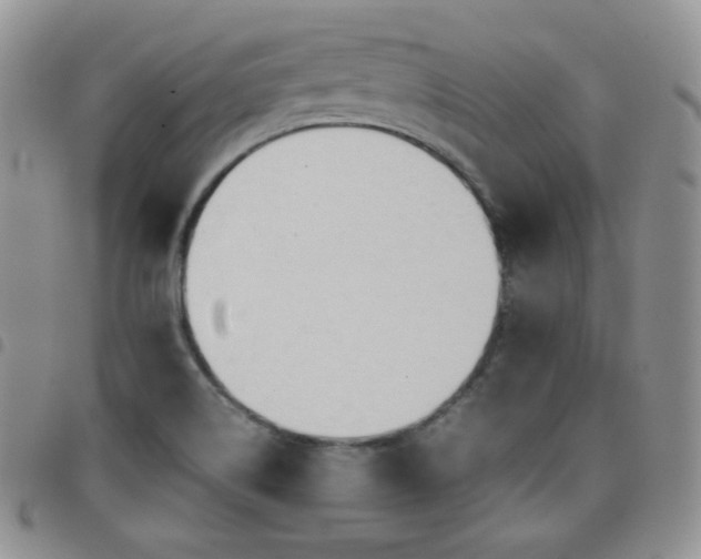 X0000099231514200804241442