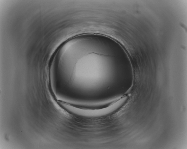X0000099231515200804241442