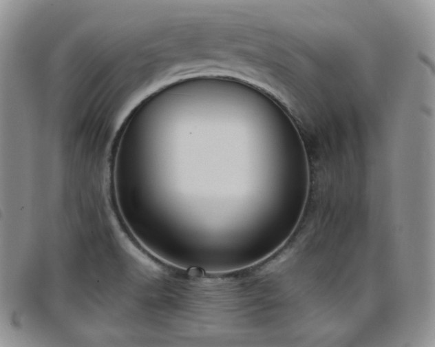 X0000099231518200804241442