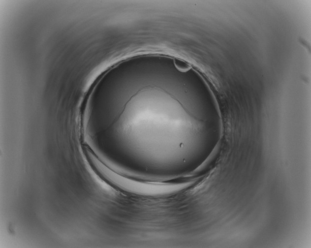 X0000099231519200804241443