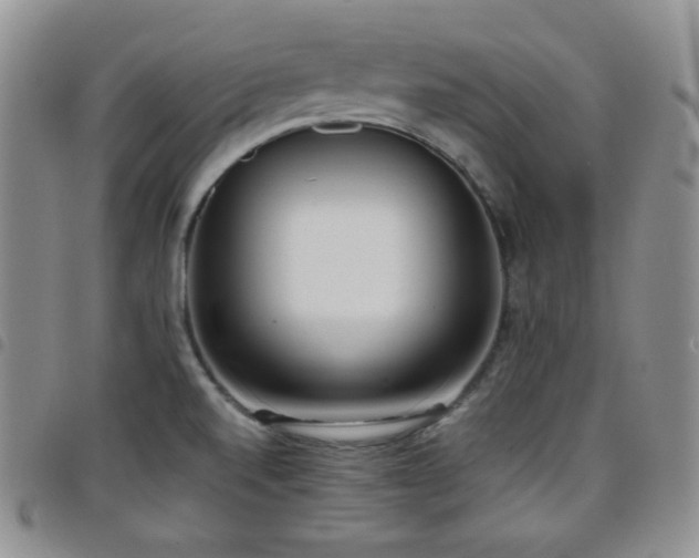 X0000099231520200804241443