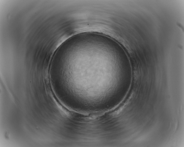 X0000099231521200804241443