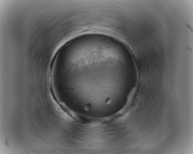 X0000099231522200804241443