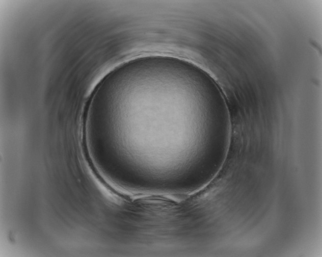 X0000099231523200804241443