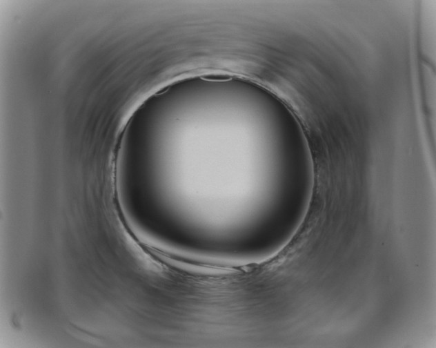 X0000099231524200804241443