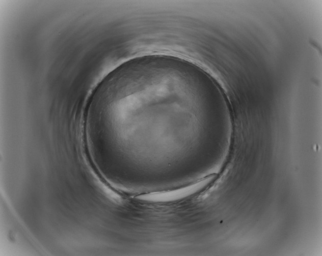 X0000099231525200804241443