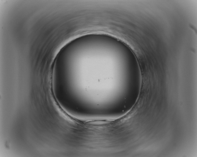 X0000099231526200804241443