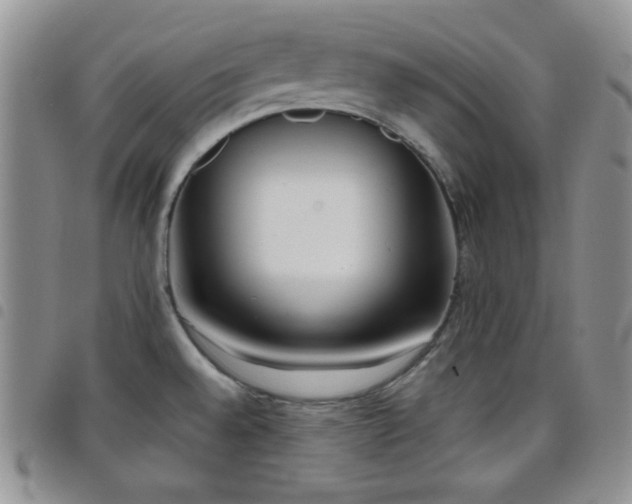 X0000099231528200804241443