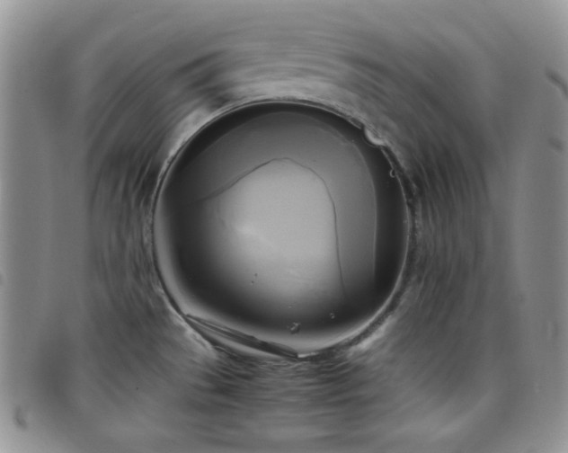 X0000099231529200804241443