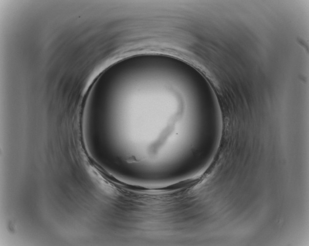 X0000099231530200804241443