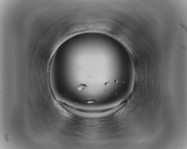 X0000099231532200804241443