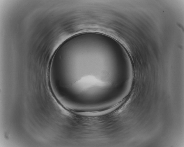 X0000099231533200804241443