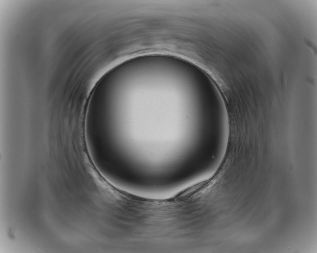 X0000099231534200804241443