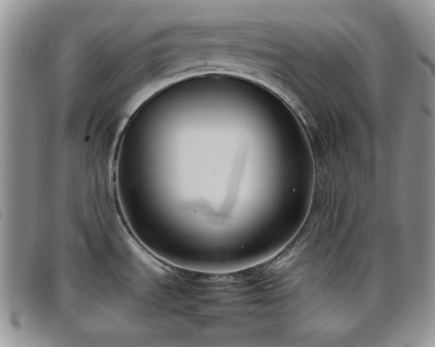 X0000099231535200804241443