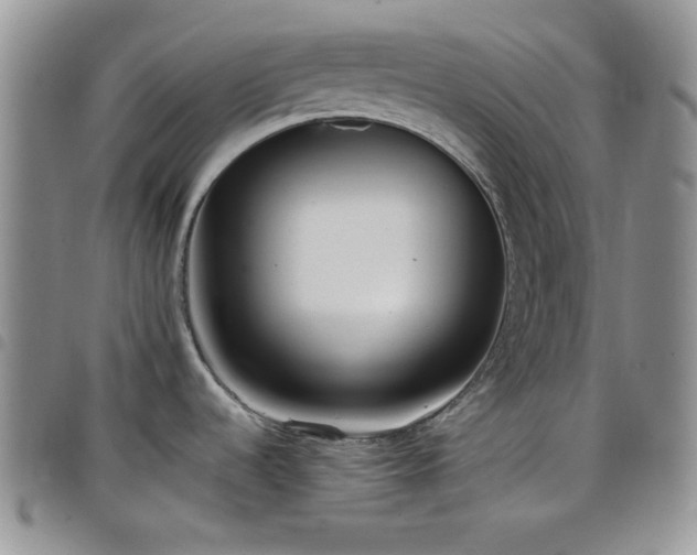 X0000099231536200804241443