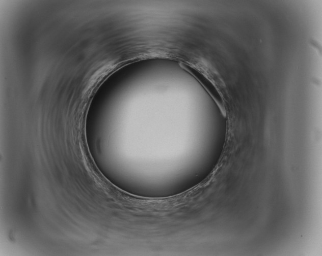 X0000099230001200805011146