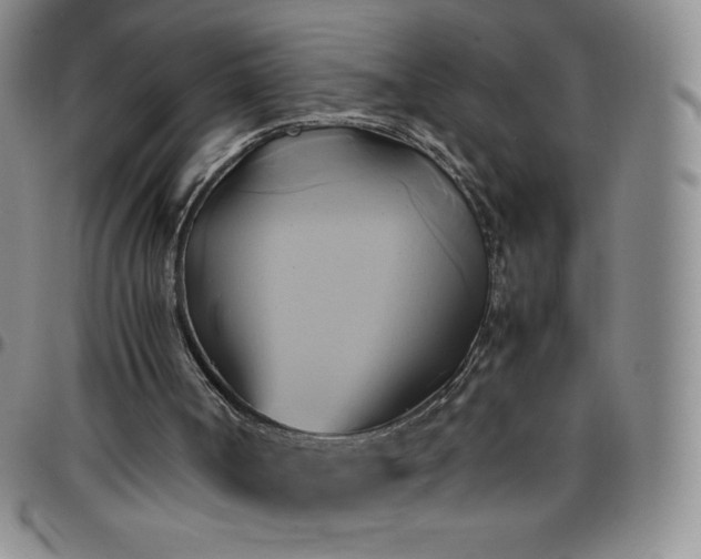 X0000099230002200805011146