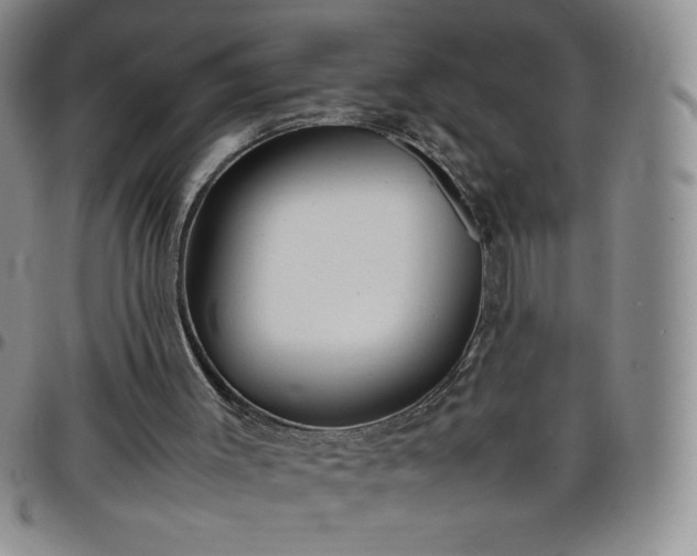 X0000099230003200805011146