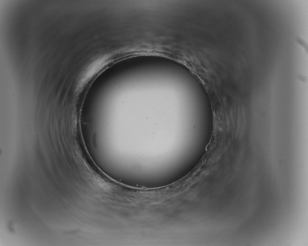 X0000099230005200805011146