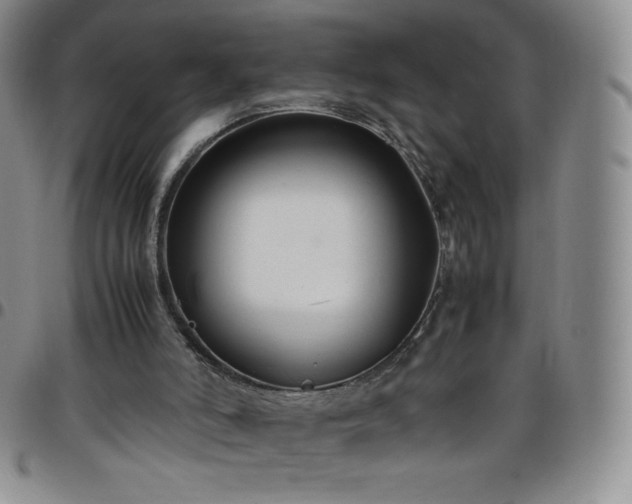 X0000099230006200805011146