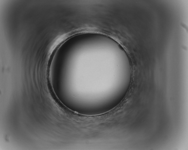 X0000099230007200805011146