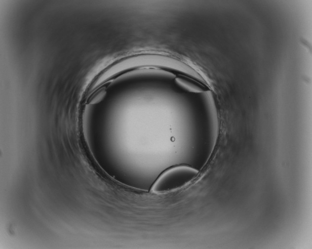 X0000099230008200805011146