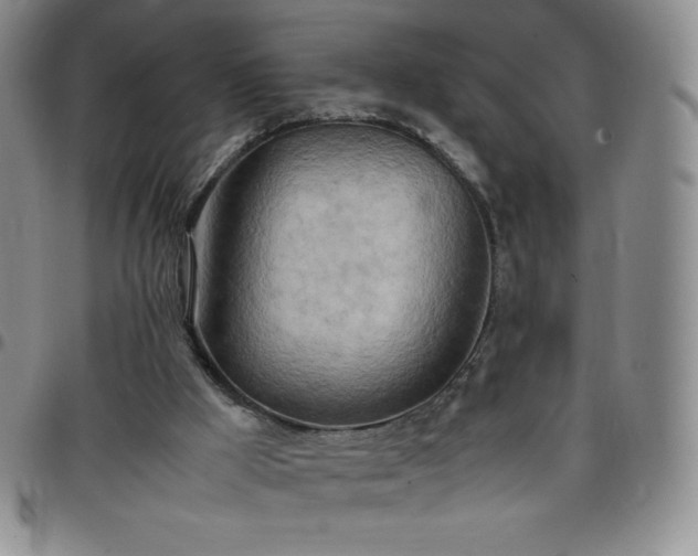 X0000099230009200805011146