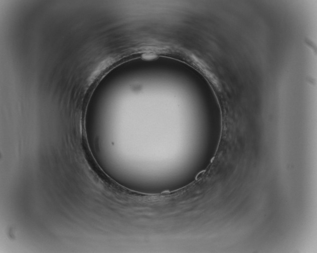 X0000099230011200805011146