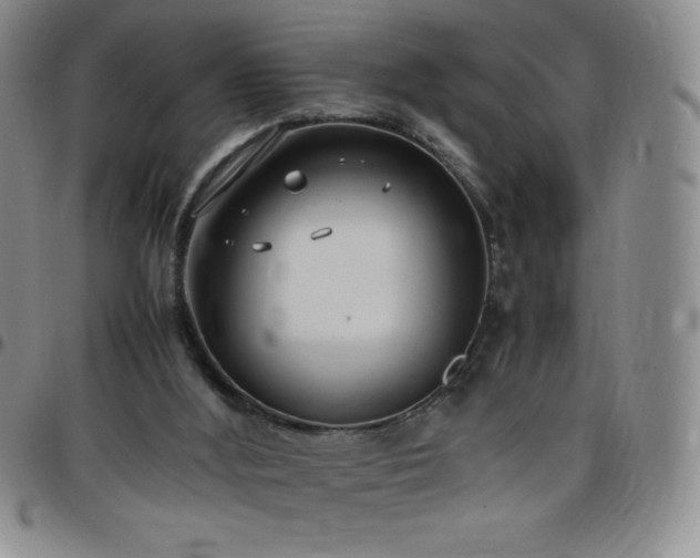 X0000099230012200805011146