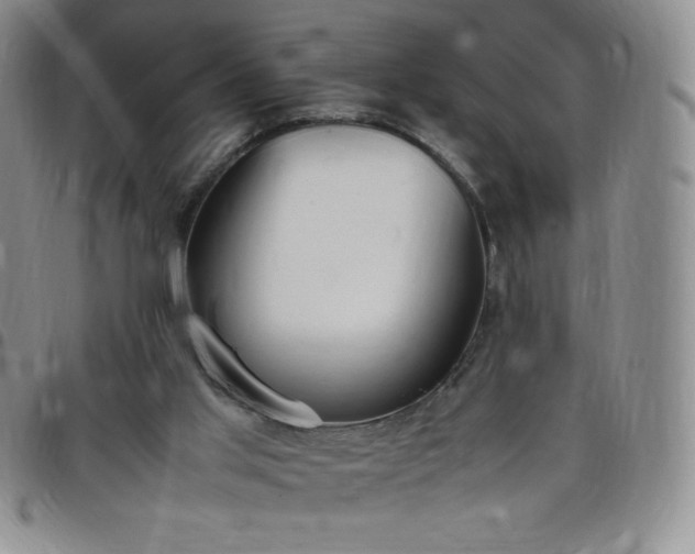 X0000099230013200805011146