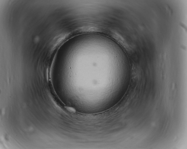 X0000099230014200805011146