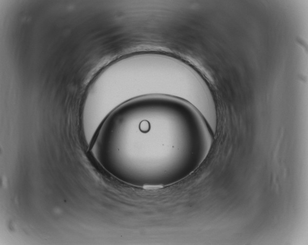 X0000099230015200805011146