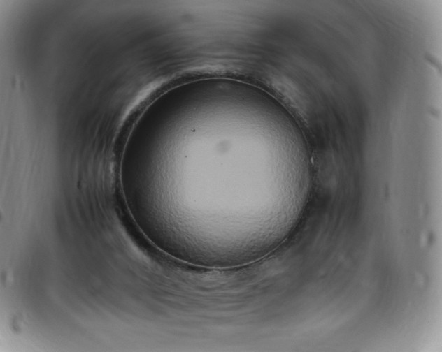 X0000099230016200805011146