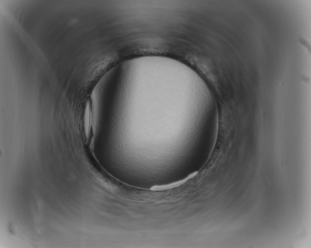 X0000099230017200805011146