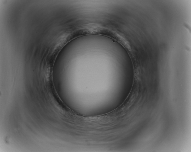 X0000099230018200805011146