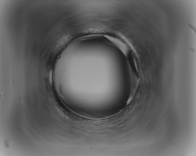 X0000099230019200805011146