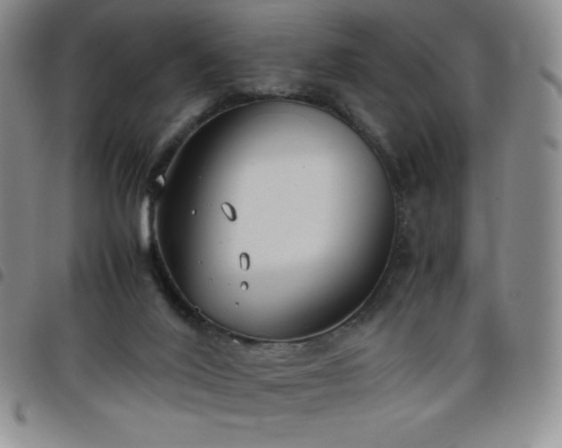 X0000099230020200805011146