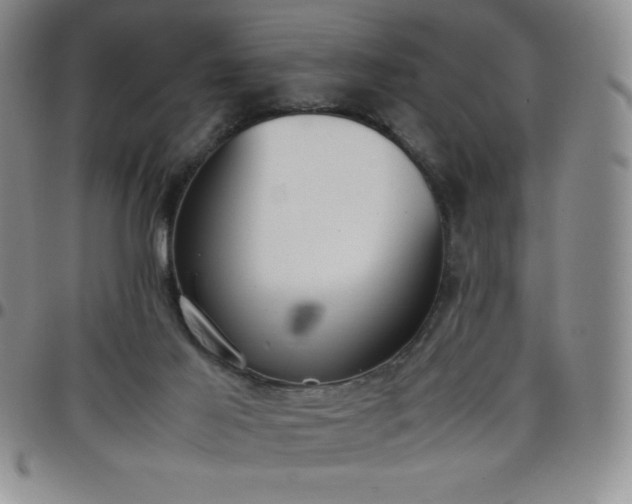 X0000099230021200805011146