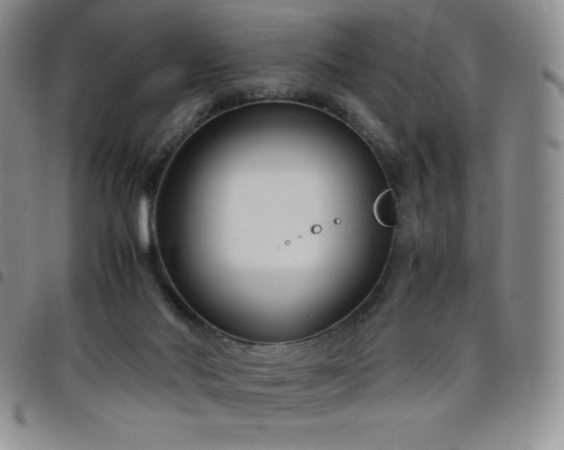 X0000099230022200805011146