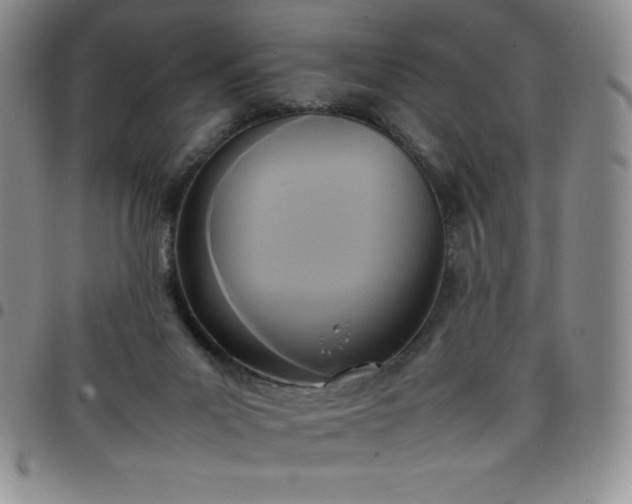 X0000099230023200805011146