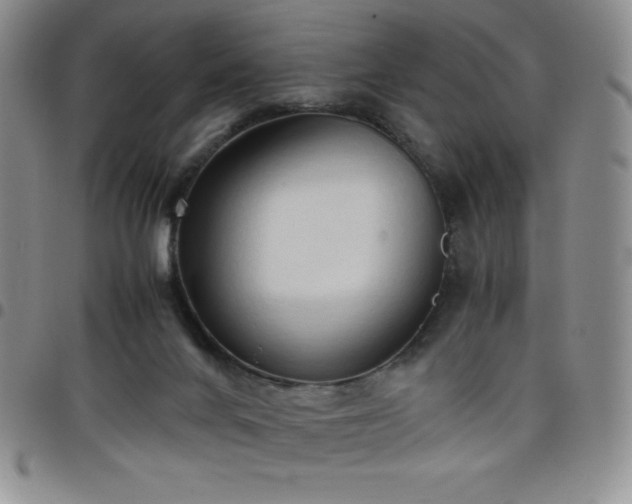 X0000099230024200805011146