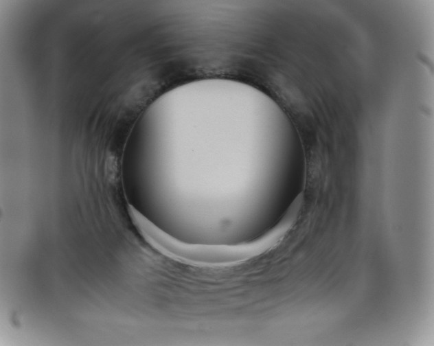 X0000099230025200805011146