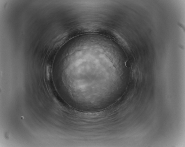 X0000099230026200805011146